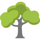 Middletown Tree Trimming Service