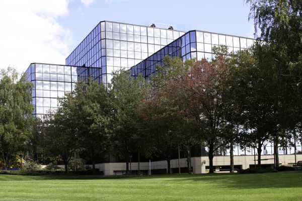 Commercial Tree Trimming in Middletown